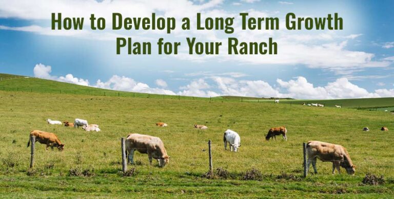 How to Develop a Long Term Growth Plan for Your Ranch
