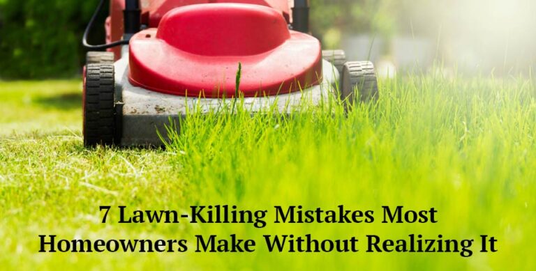 Lawn-Killing Mistakes