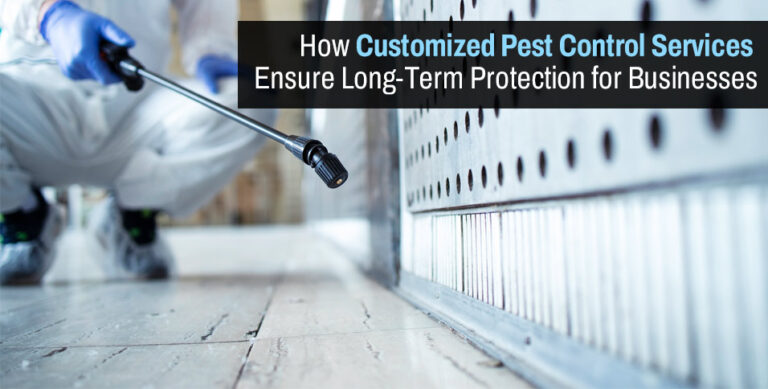 How Customized Pest Control Services Ensure Long-Term Protection for Businesses