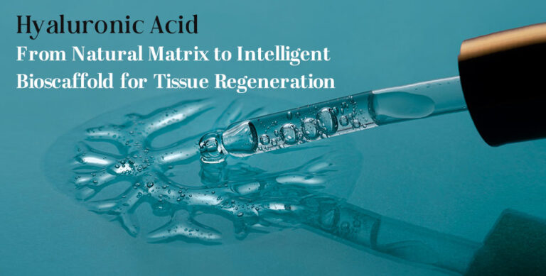 Hyaluronic Acid: From Natural Matrix to Intelligent Bioscaffold for Tissue Regeneration