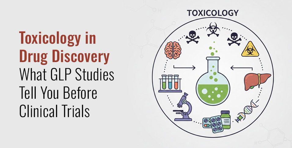 Toxicology in Drug Discovery