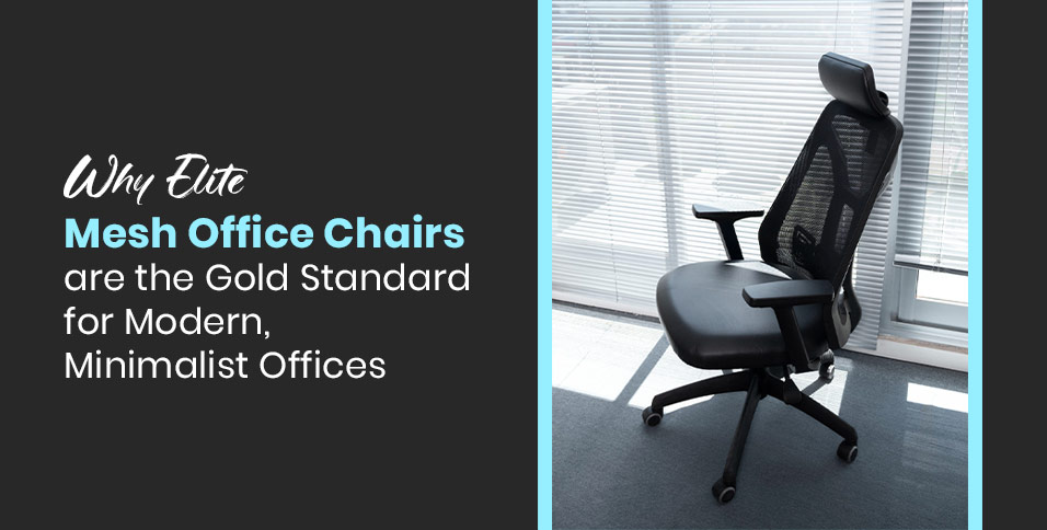 Why Elite Mesh Office Chairs are the Gold Standard for Modern, Minimalist Offices