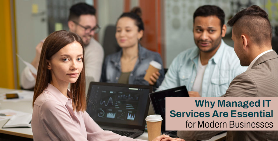 The Growing Importance of Professional IT Support for Modern Businesses