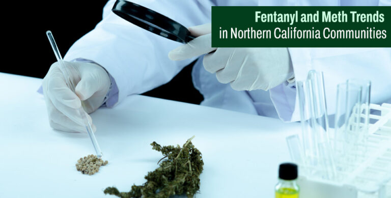 Fentanyl and Meth Trends
