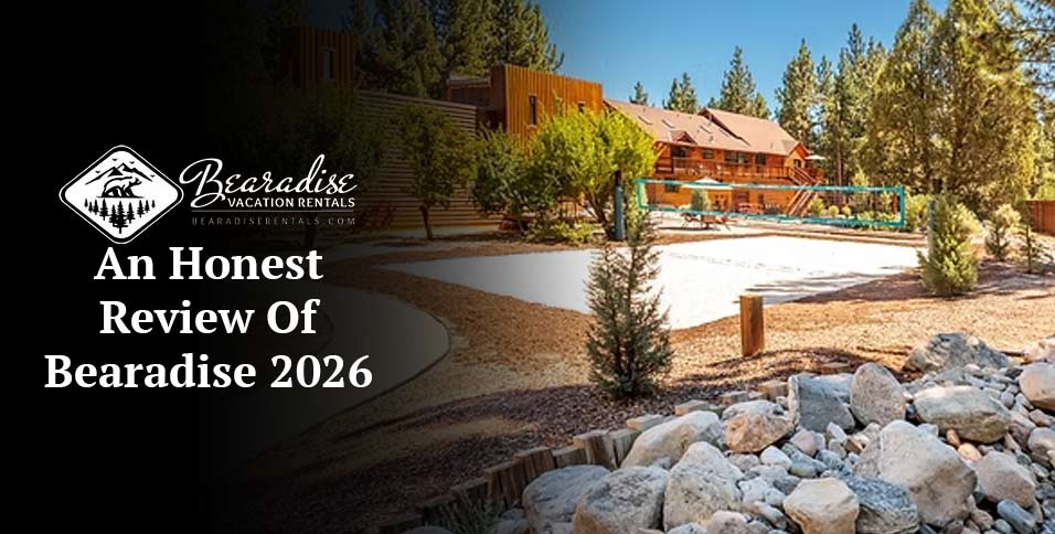 An Honest Review Of Bearadise 2026