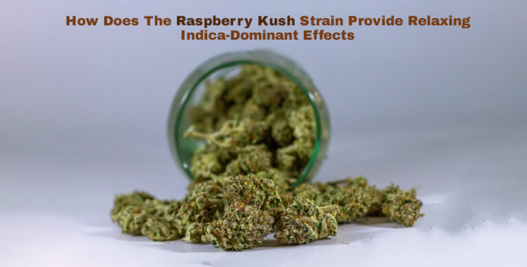 Raspberry Kush Strain