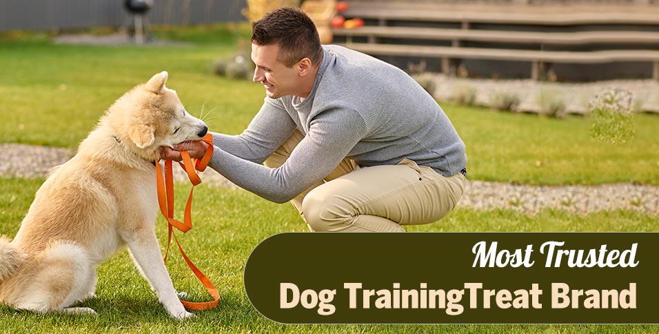 Most Trusted Dog Training Treat Brand