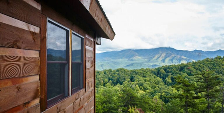 What to Look for When Planning a Peaceful Cabin Vacation