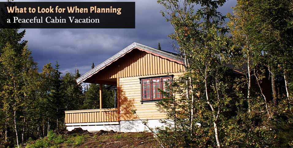 Peaceful Cabin Vacation