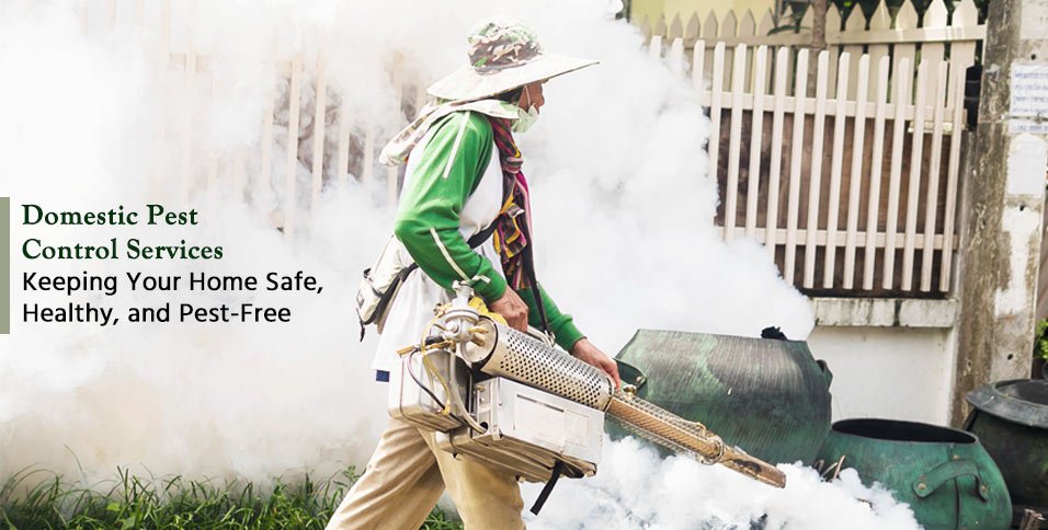 Domestic Pest Control Services