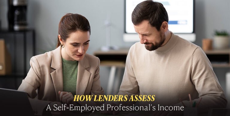 Self-Employed Professional's Income