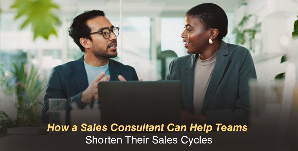 Sales Consultant