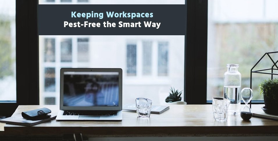 Pest-Free Workspaces