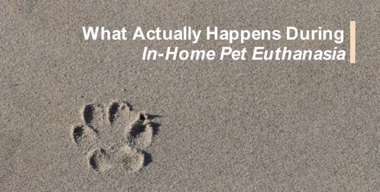In-Home Pet Euthanasia