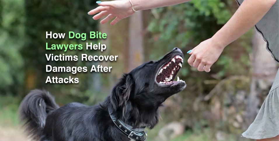 Dog Bite Injury Lawyers